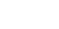 festina logo